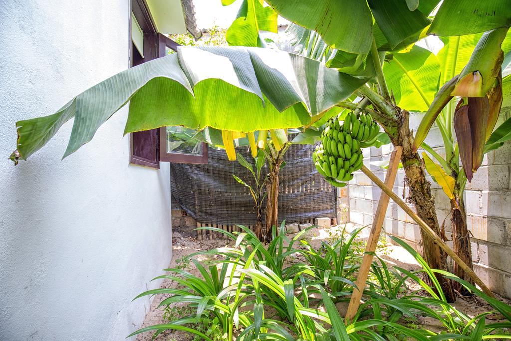 Red Flower Cottages Homestay Hoi An Exteriör bild