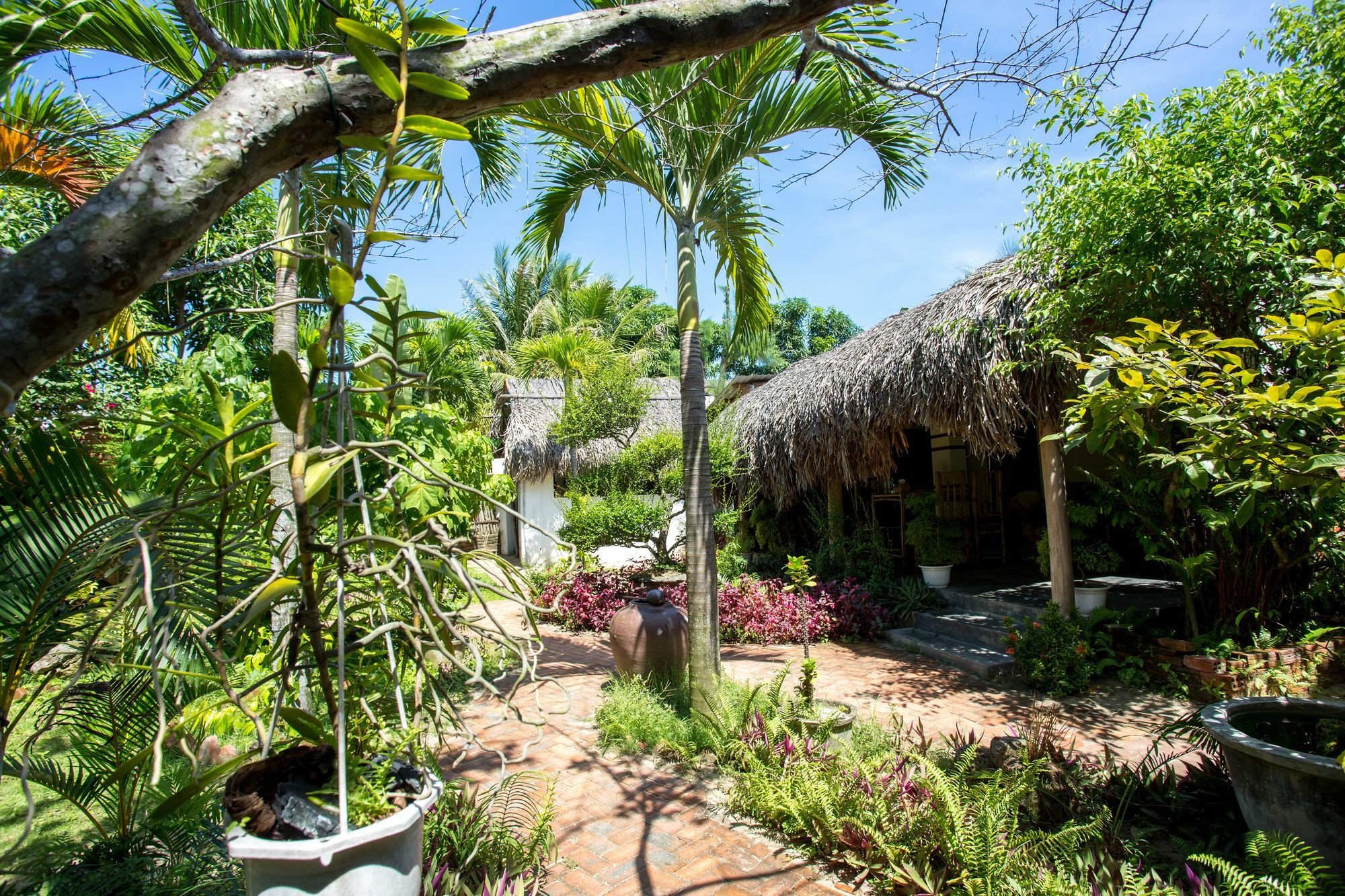 Red Flower Cottages Homestay Hoi An Exteriör bild
